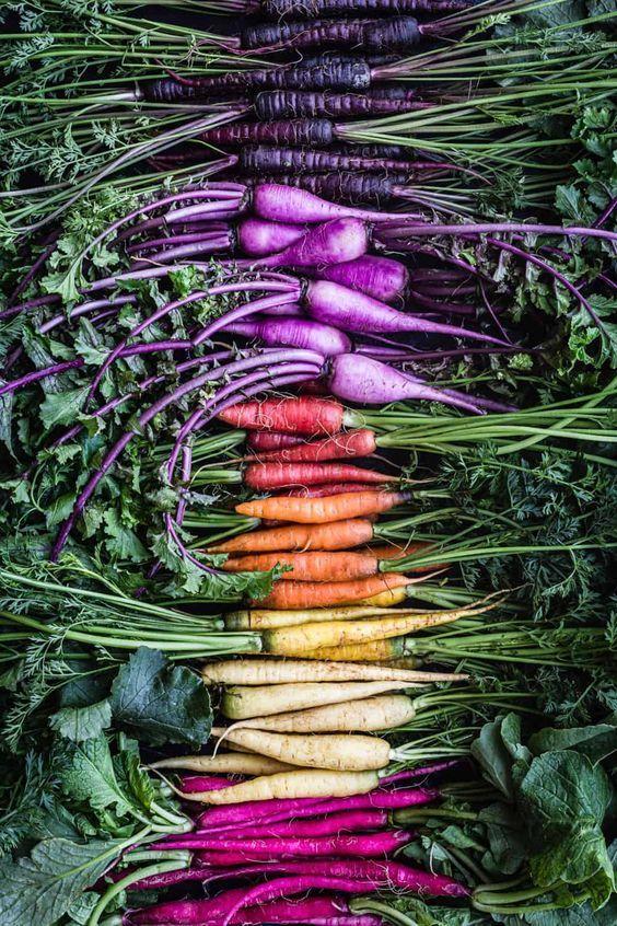 Orchard Bounty Basket: Diverse Nature's Treats